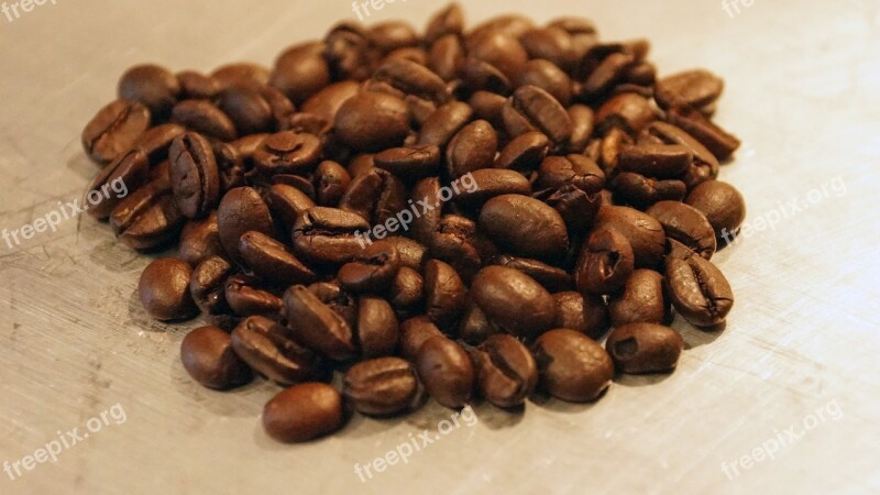 Coffee Coffee Beans Java Drink Roasted