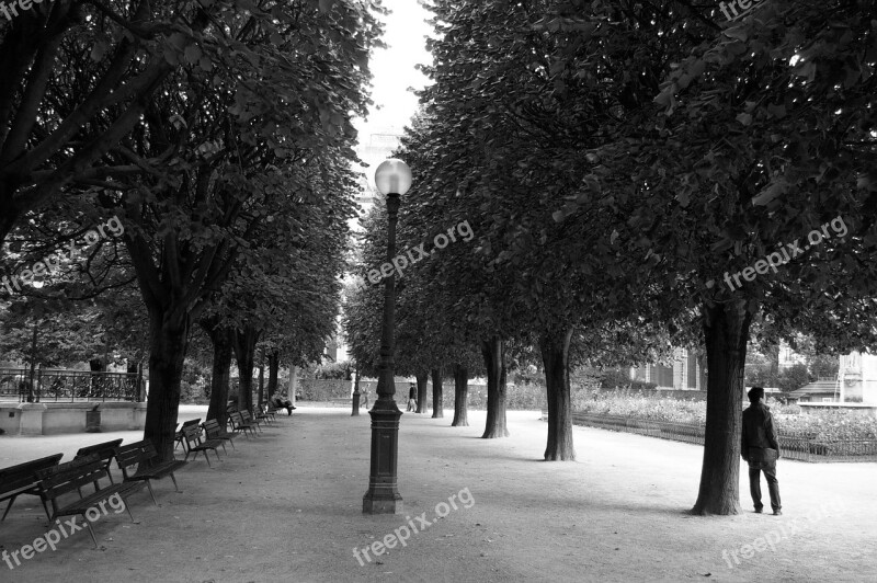 Place Paris Capital Bench Garden