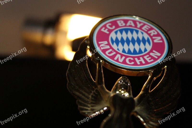 Bavaria Munich Football Free Photos