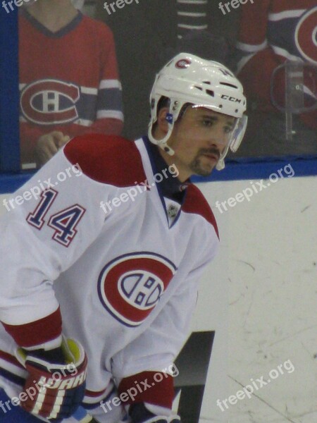 Hockey Tomas Canadians Plekanec Montreal