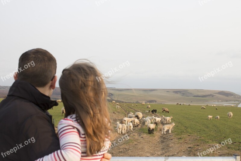 Family Father And Daughter Sheep Sussex Lambs