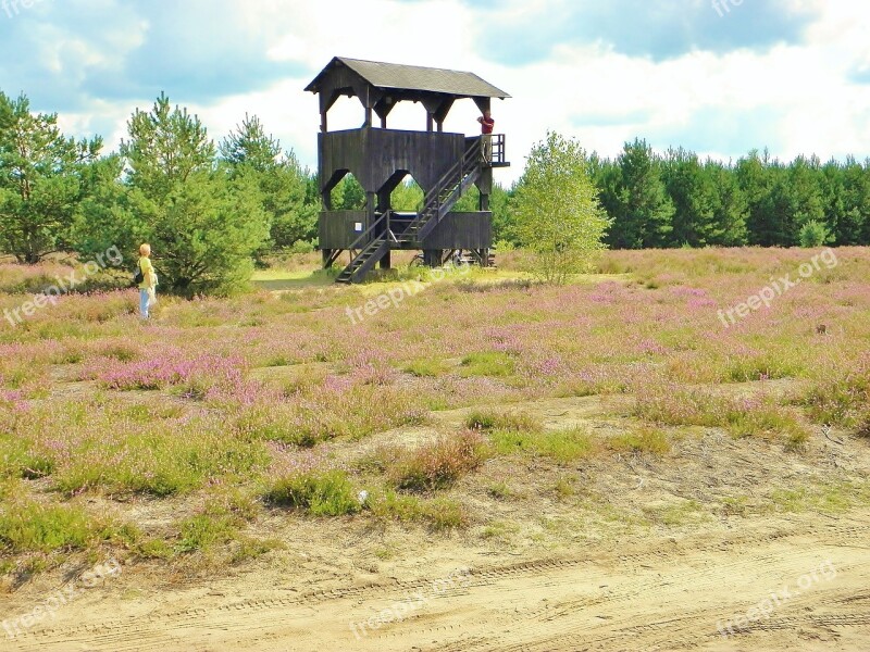 Heide Landscape Aussichtsplarform Nature Reserve Hiking