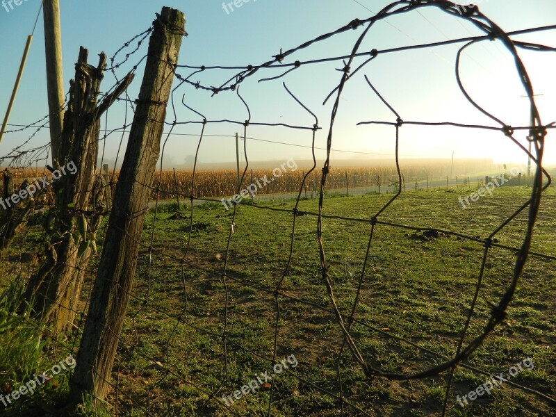 Farm Fence Rural Grass Summer