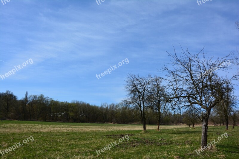 Nature Spring Tree The Beauty Of Nature Sky