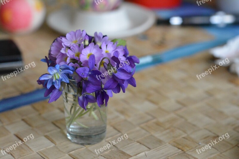 Bouquet Decoration Violet Violets Flowers