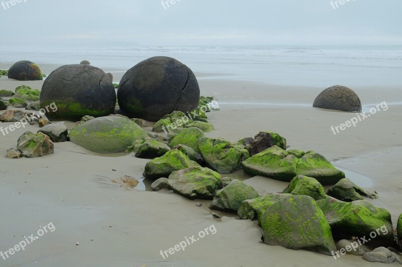 Boulders Moeraki Koekohe Beach Sea Nature