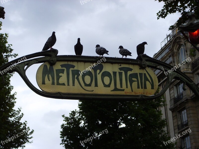 Subway Metro Pigeons Birds City