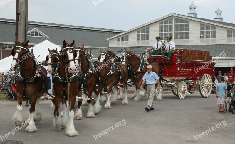 Horses Wagon Clydesdales Carriage Transport