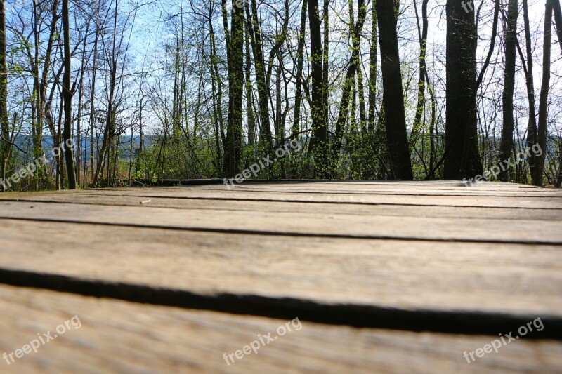 Walking Bridge Nature Conservation Flagstone Path Demarcation Free Photos