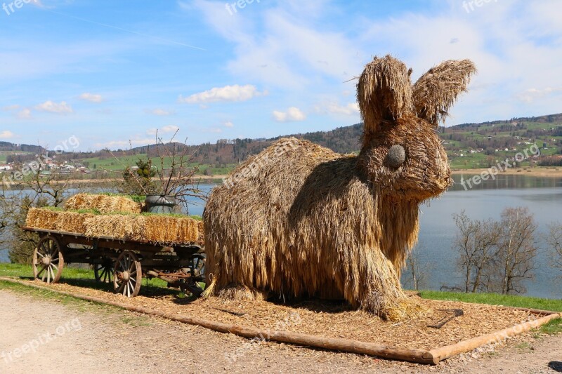 Easter Hare Straw Dare Free Photos