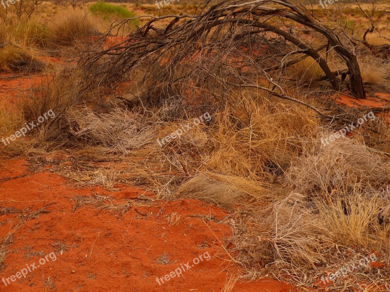 Australia Uluru Ayersrock Outback Ayers Rock