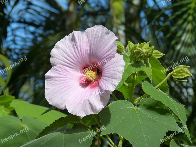 Costa Rica Central America Tropical South America Tropics