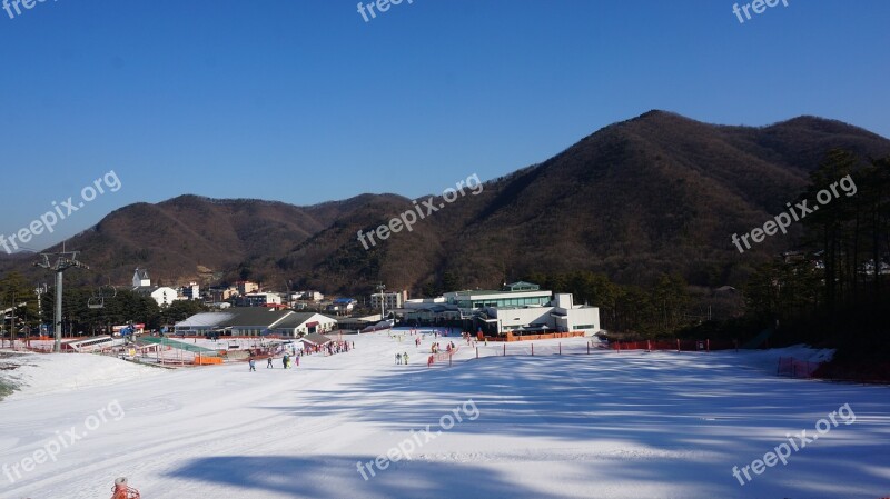 Skiing Sports Alpine Snow Winter