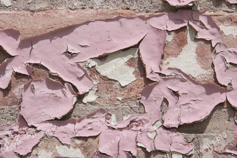 Pain Peeling Pink Texture Wall