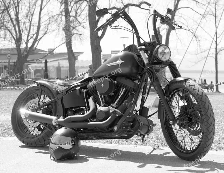 Harley Harley Davidson Motorcycle Bike Black