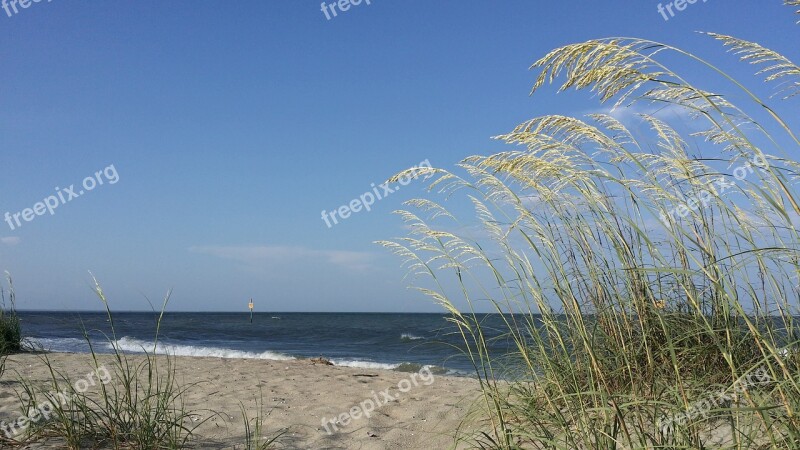 Tybee Beach Georgia Free Photos