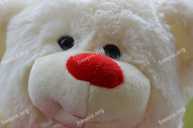 Bear Bears Teddy Plush Cute