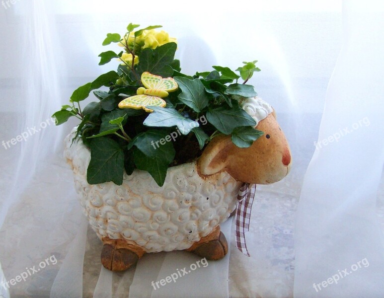 Easter Lamb Yellow Coral Flower Amber Free Photos