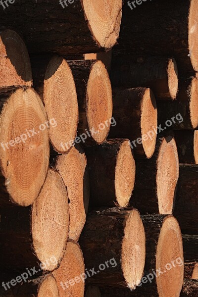 Wood Trunk Cup Sawn Tree