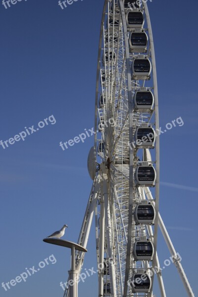 Brighton Wheel Tourism Seafront Architecture