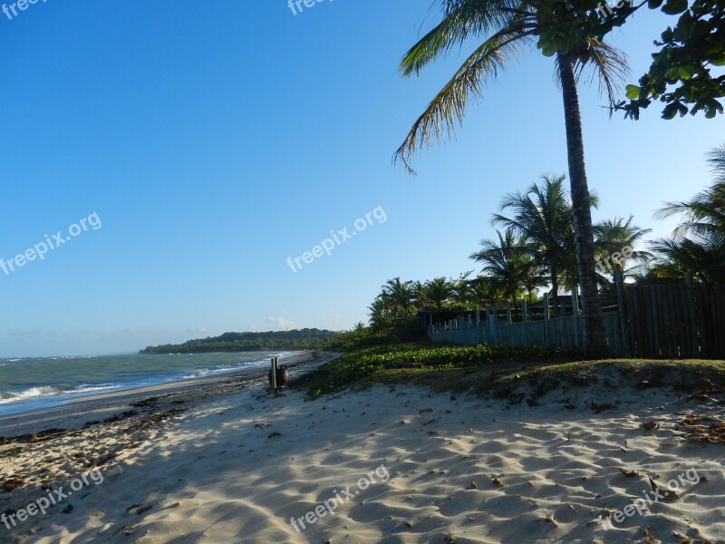 Beach Sunset Palms Brazil Sand