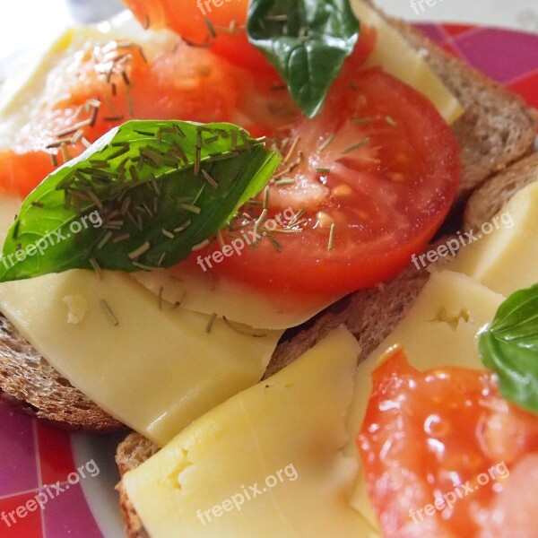 Tomato Basil Rosemary Sandwich Food