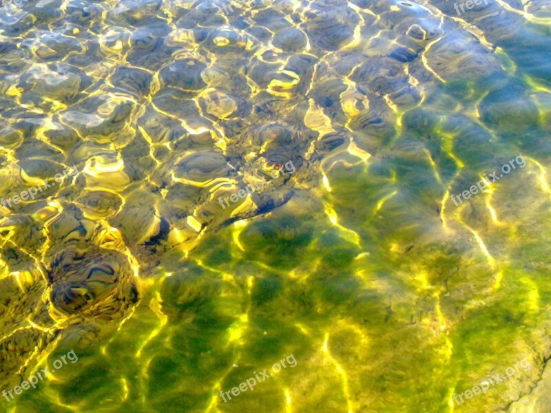 Wallersee Clear Water Reflections Free Photos