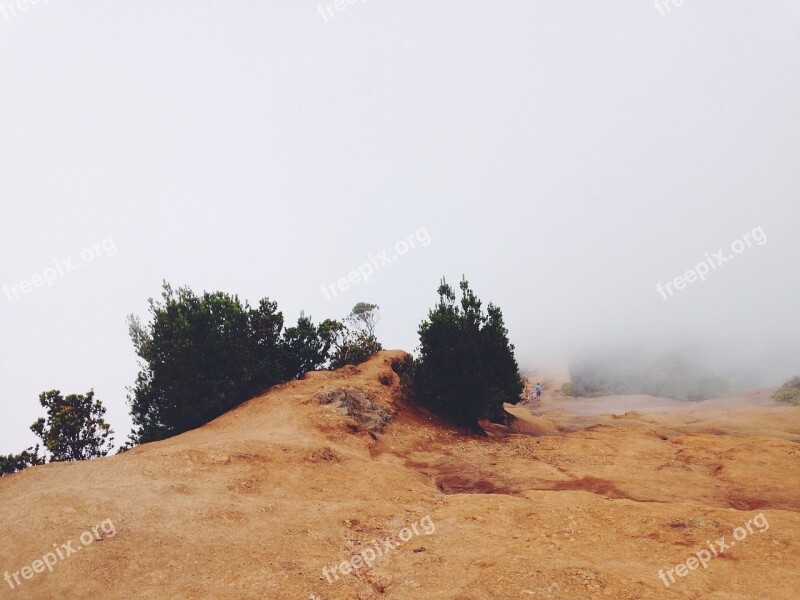 Landscape Stone Rock Sand Vegetation