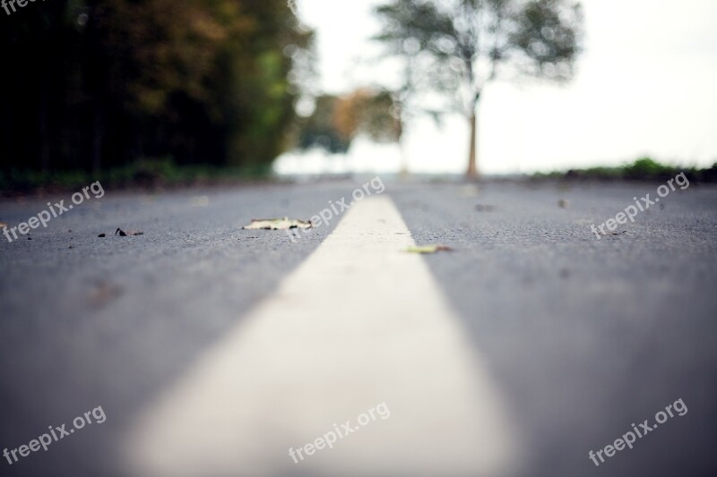 Street Road Marking Middle Paint