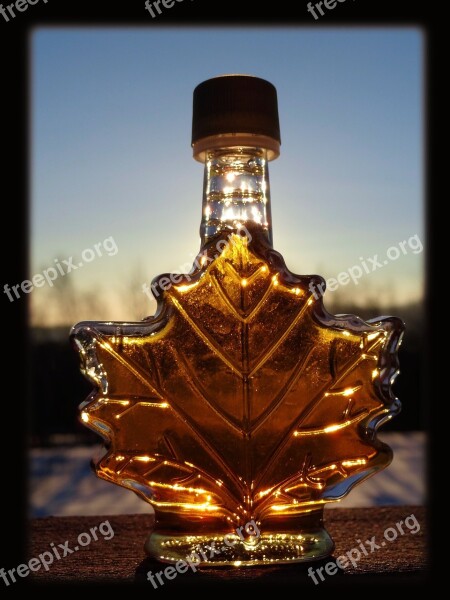 Maple Syrup Sun Free Photos