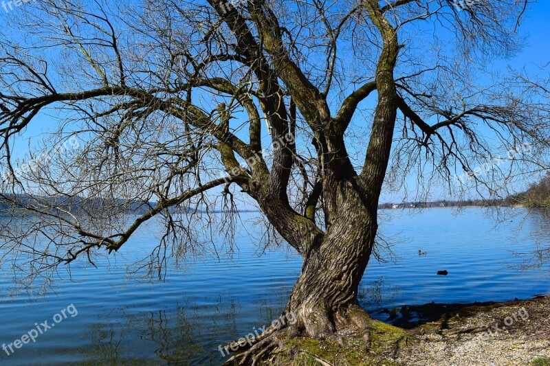 Tree Lake River Landscape Recreation Area Free Photos