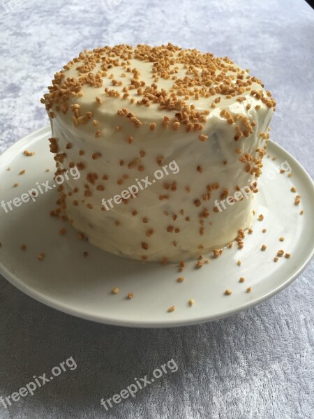 Cake High Carrot Cake Free Photos