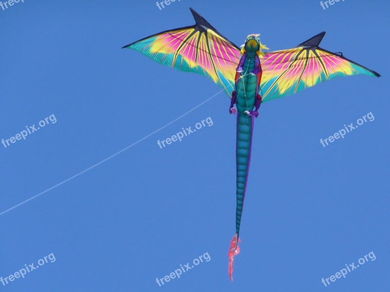 Kite Flying Sky Dragon Wind