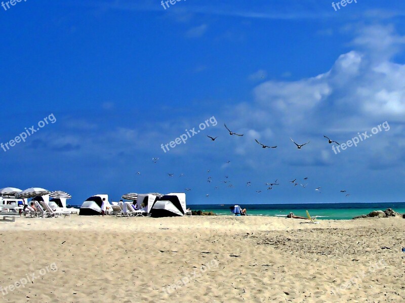 Beach Miami Sea Blue Tourists