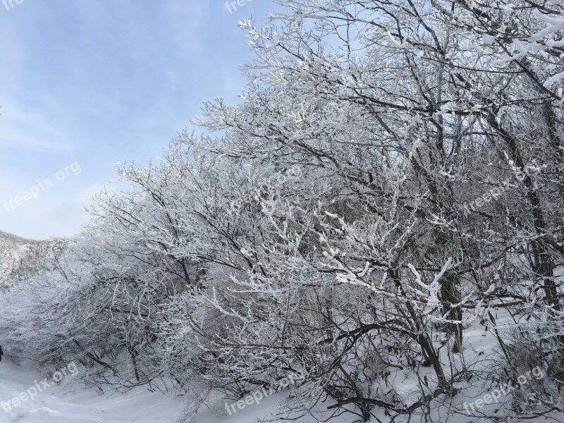 Snow Mountain Snow Flower Snow Mountain Climbing