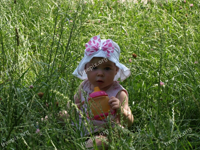 Baby Girl The Little Girl Girl In The Grass Stroll