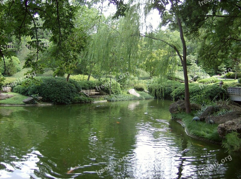 Pond Botanic Gardens Fort Worth Texas Green