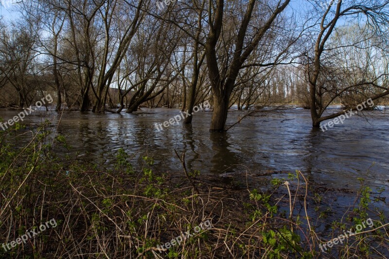 Rhine River Floodplain High Water Spring Riverside