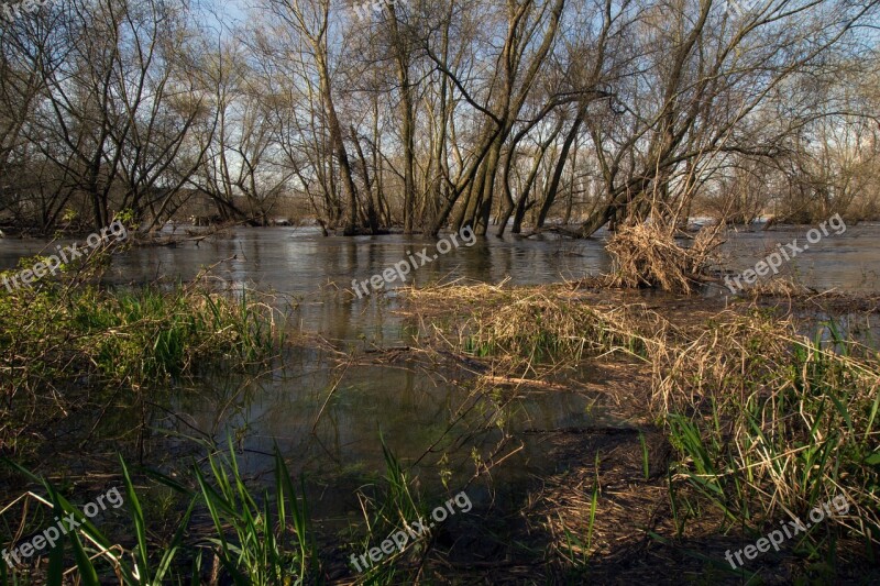 Rhine River Floodplain High Water Spring Riverside