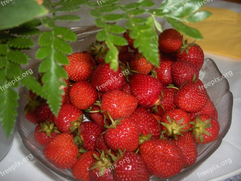 Berries Strawberries Healthy Sweet Fresh