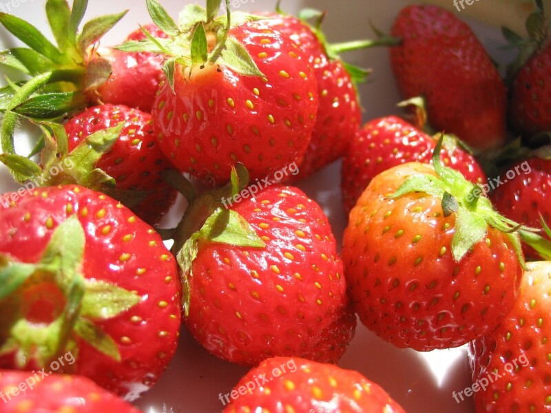 Berries Strawberries Macro Healthy Sweet