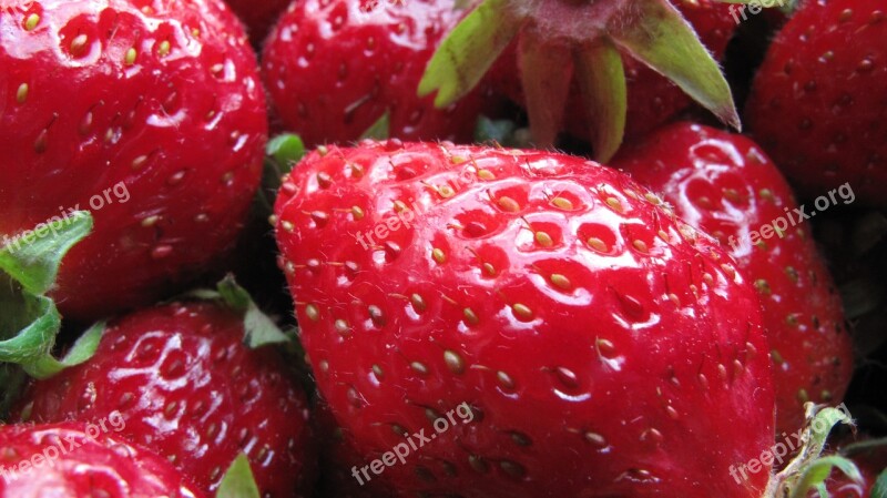 Berries Strawberries Macro Healthy Sweet