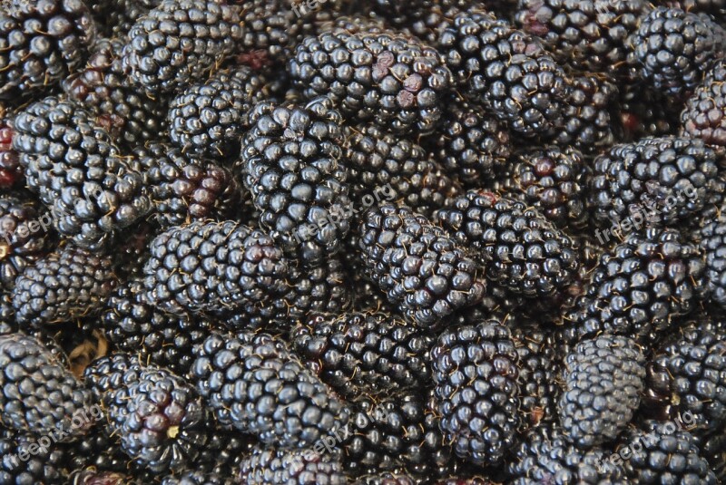 Berries Blackberries Healthy Sweet Fresh