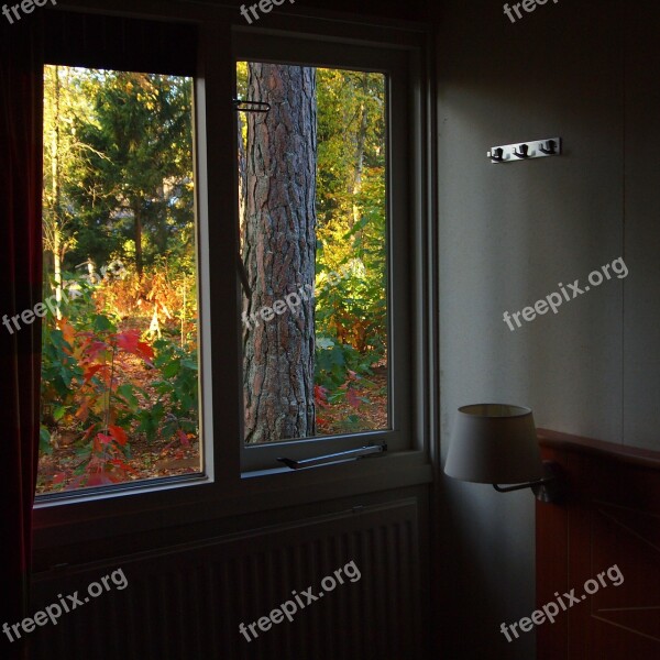 Room Window Vista Autumn Garden