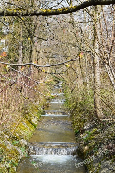 Bach Creek Gradually Spring Nature