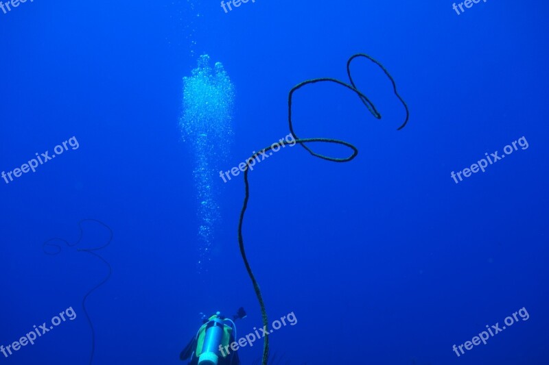 Diving Bubble Green Island Underwater Free Photos