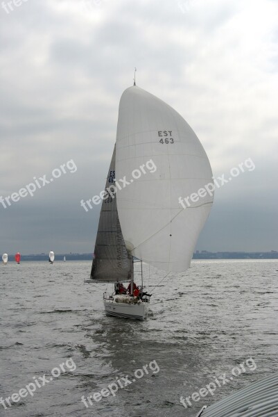 Sailing Boat Sport Regatta Sailboat