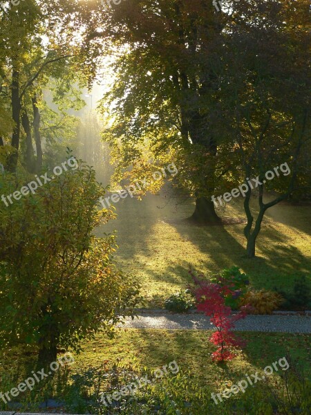 Garden Trees Dreamy Fairytale Sunbeam