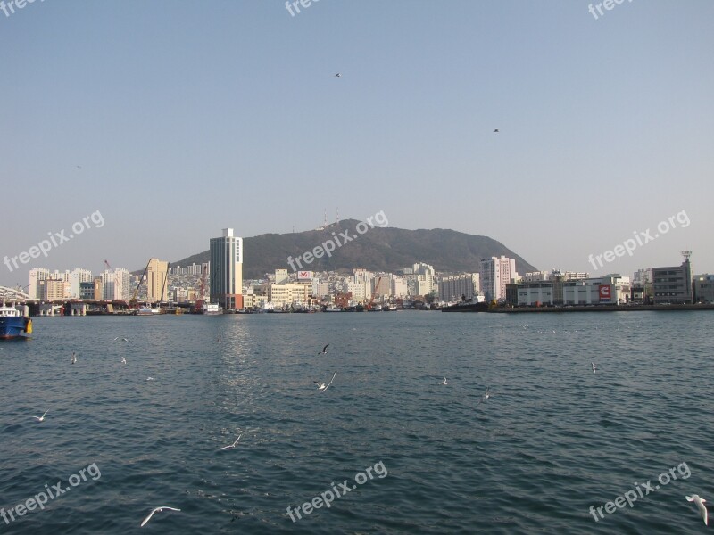 Busan Sea Building Landscape In The Evening