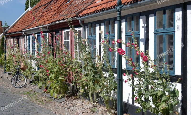 Houses Old Hollyhocks Bornholm Denmark